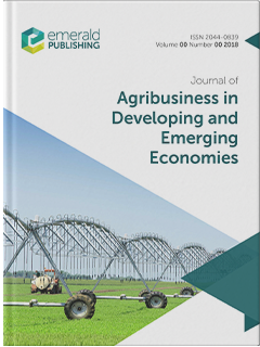 Sustainable finance and agriculture productivity: new frontiers, solutions, and policy directions for agribusiness
